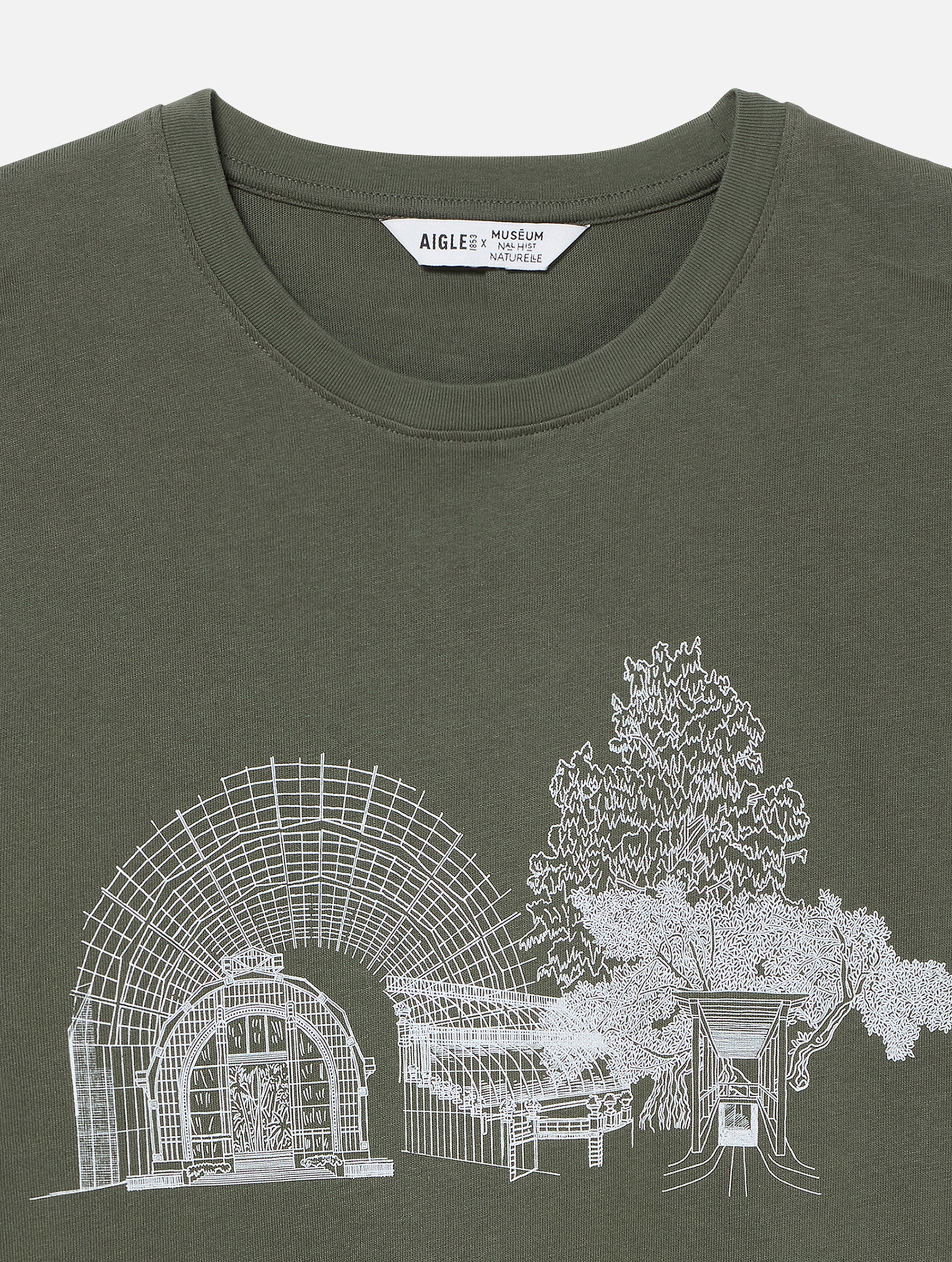 レディース 【国立自然史博物館】吸水速乾 クルーネックTシャツ