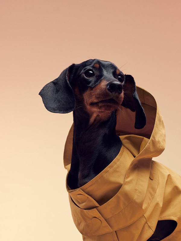 category landing image