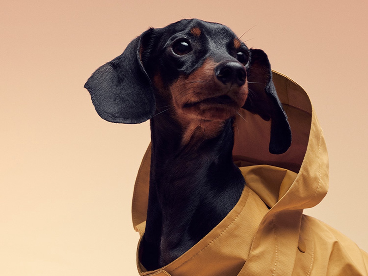 category landing image